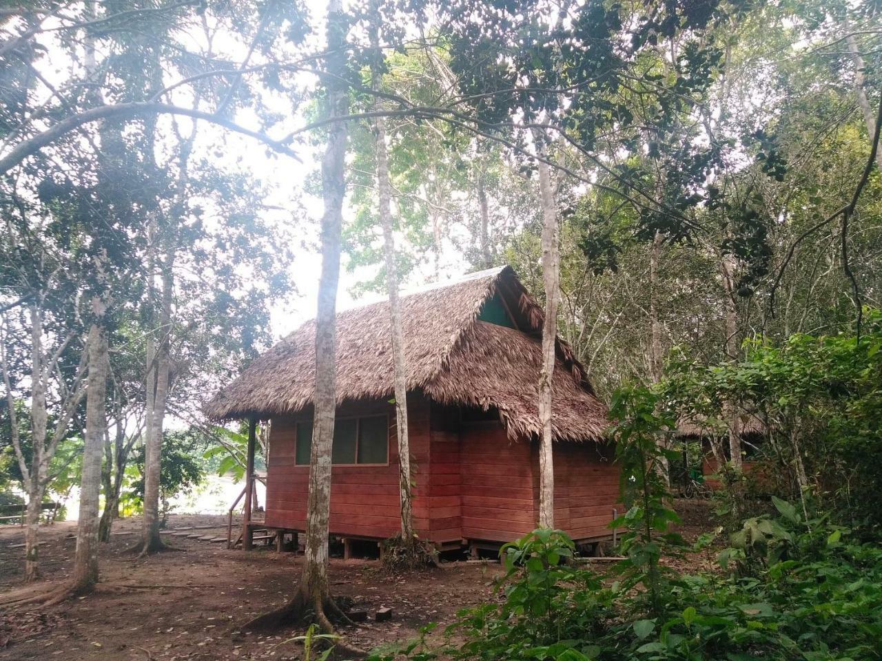 Majacho'S House Hostel Puerto Maldonado Kültér fotó